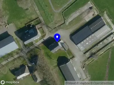 Rewild Branding Gilze