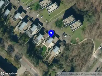 TM Training & Coaching