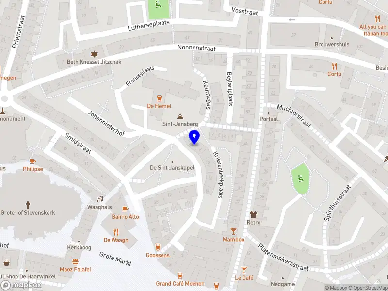 Nienke van der Veen International Support