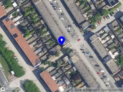 De schoonmaak expert