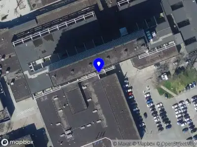 Vigilante Security & Services