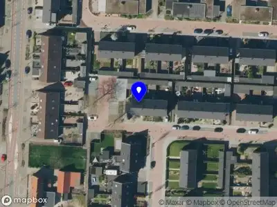 bomen-online.nl Dodewaard