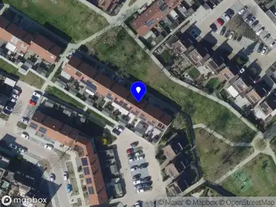 Felling Online Zwijndrecht