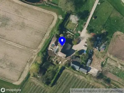 Buitengewone Varkens