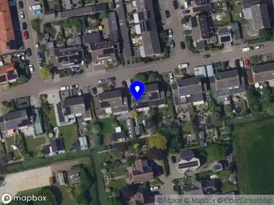Pannendekker Best Hoornaar