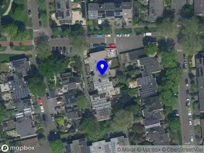 Nieuw bedrijf Chini Woods