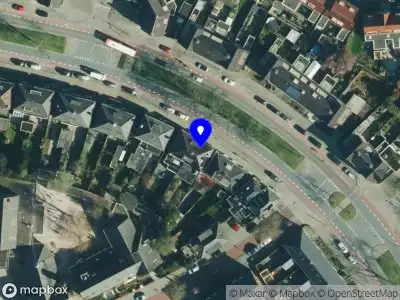 Angelie Braakman, Dierenarts - gezelschapsdieren