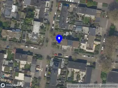 Nieuw bedrijf Studio Lady