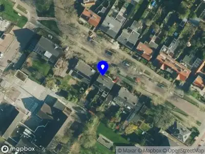 Yellow Kangaroos Hengelo