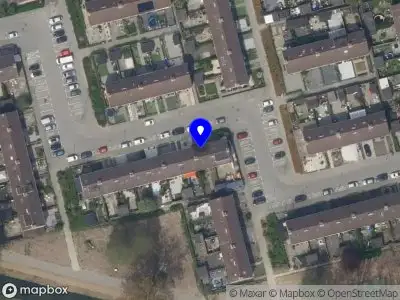 Naz Straal & Schilderen