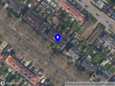 TableBloom Rotterdam