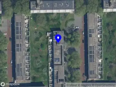 Aysen Kaptanoglu Art Amsterdam