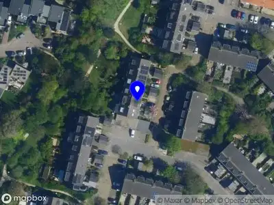 Transformist Consultancy