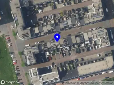 Shrijiita's Business