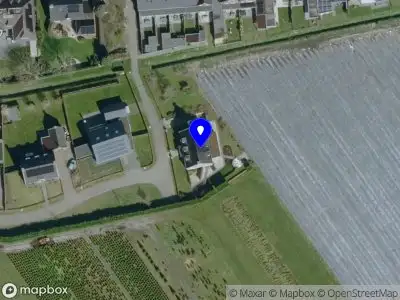 BIRDS Creative Innovation