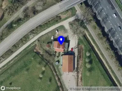 Beastlike Holding B.V.