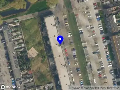 Levensboom in balans