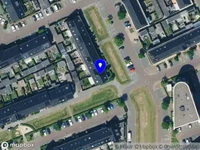 Paws of Joyce Photography