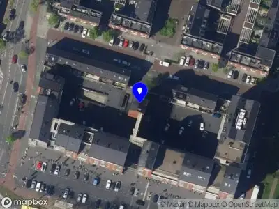 De Utrechtse violist