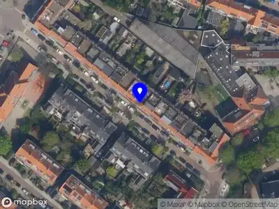 Selm schrijven en advies