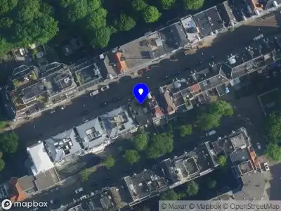 Holopine Amsterdam