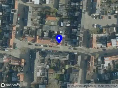 Cleaning Company Steluta