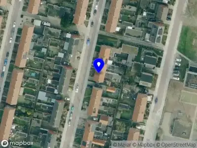 Dijkman boomverzorging Ommen