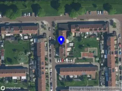Cattery Sevim Amsterdam