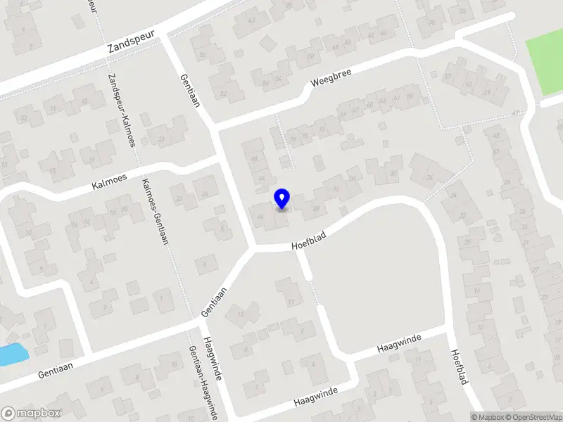 Nieuw bedrijf Tom La Maitre