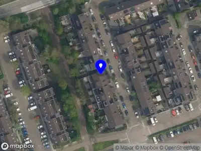 Nine Essential Finds