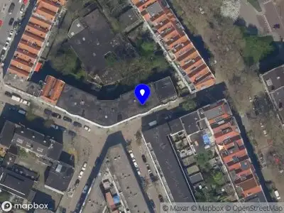 TR garden solutions Rotterdam