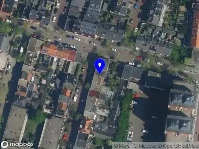 Sustainable policy & campaign advice