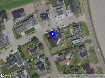 BJ Management & Finance