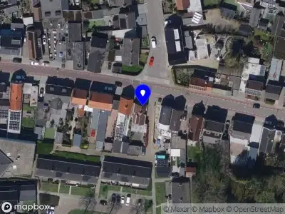 Nieuw bedrijf De aard van het beestje holistische praktijk voor honden