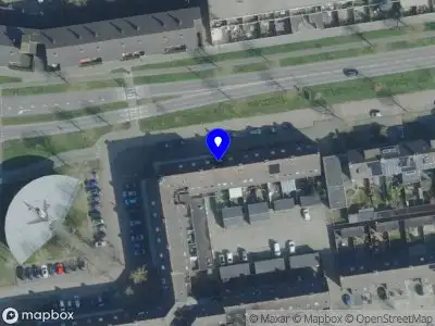 Rose Translations & Coaching