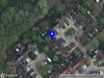 DB Training & Coaching