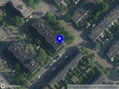 Merle Janssen Kunsthistorica Amsterdam