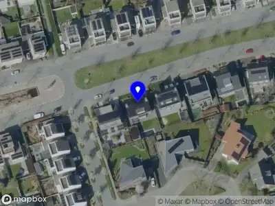 Dani’s Trading Company