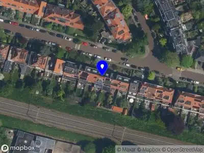 Energietransitie blom