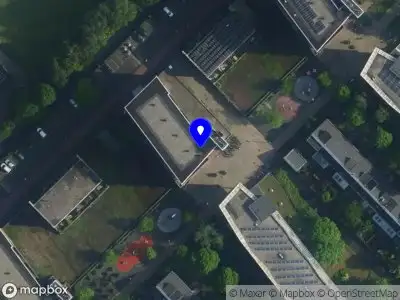 Lev Minikes Consulting Amsterdam