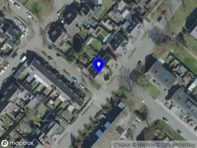 NPX Trading Projects Veghel