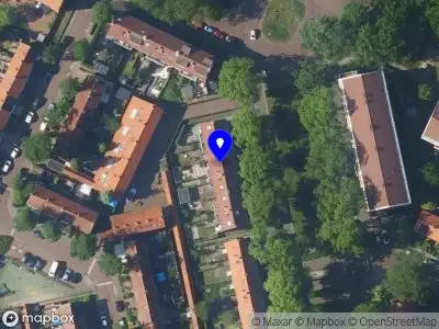 Nieuw bedrijf Wesley Fit Coach