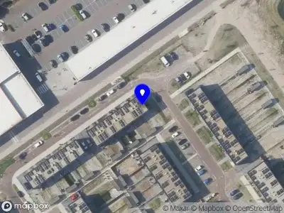 Olijfveld Coaching & Management