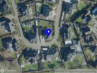 Dielissen Kerstbomen V.O.F.