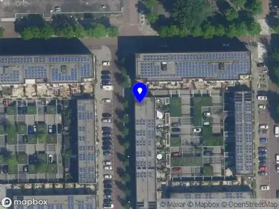 Linda Taen | Wellness Agency + Consulting