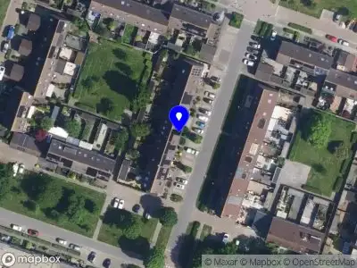 Pallume Almere