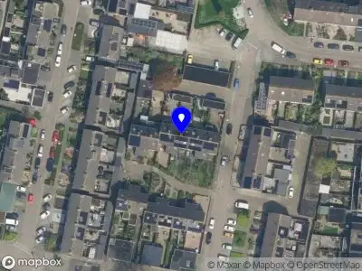 Petra den Hertog verloskundige Everdingen