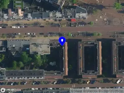 Louisa Rocha Amsterdam