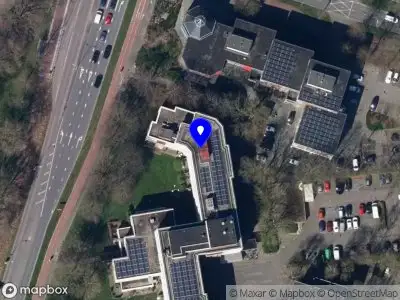 Nieuw bedrijf Beeldend kunstenaar Indira de Boer