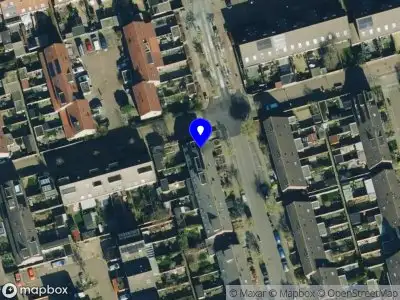 NEI met Kim de Ridder